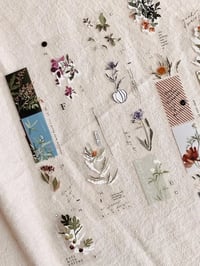 Image 1 of Somesortof.Fern : Days with Flowers