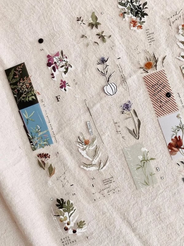 Somesortof.Fern : Days with Flowers