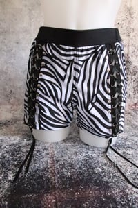 Image 5 of Zebra spandex short