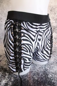 Image 6 of Zebra spandex short