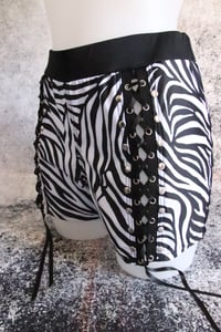 Image 11 of Zebra spandex short