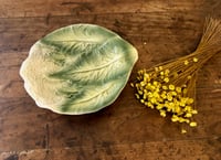 Image 3 of Chou fleur en barbotine