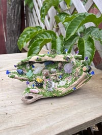Image 1 of Large Driftwood Piece 3