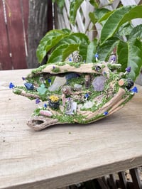 Image 4 of Large Driftwood Piece 3