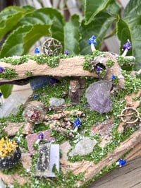 Image 5 of Large Driftwood Piece 3