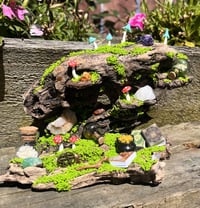 Image 1 of Large Driftwood Piece 1