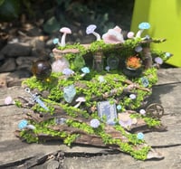 Image 1 of Medium Driftwood Piece 2