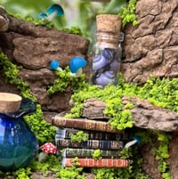 Image 4 of Medium Driftwood Piece 3