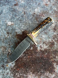 Image 1 of Clip Point