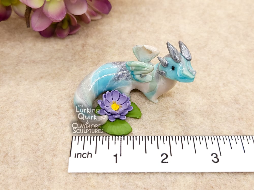 Small Marbled Water Lily Dragon