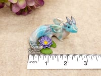 Image 4 of Small Marbled Water Lily Dragon