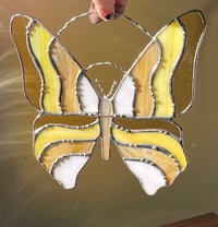 Groovy butterfly 