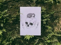 “Rats in ruin” (Print)