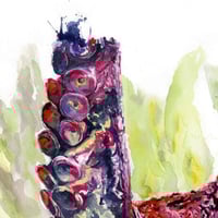 Image 3 of "Pink Wink" - PRINT