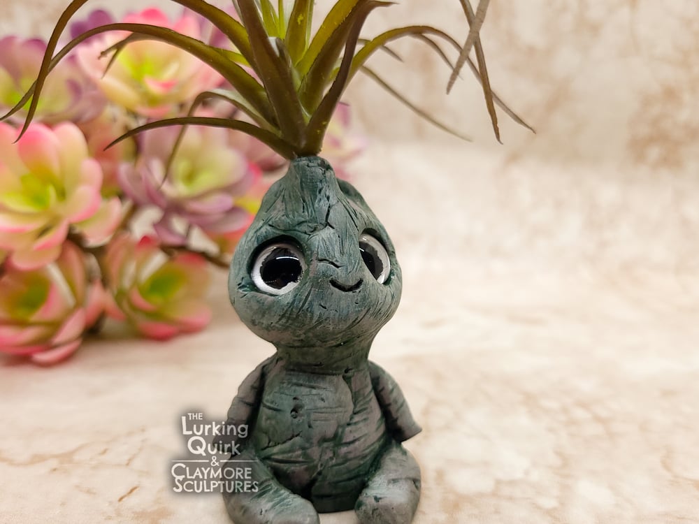 Small Plant Sprite - Dark Air Plant