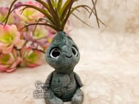 Image 5 of Small Plant Sprite - Dark Air Plant