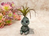 Small Plant Sprite - Dark Air Plant