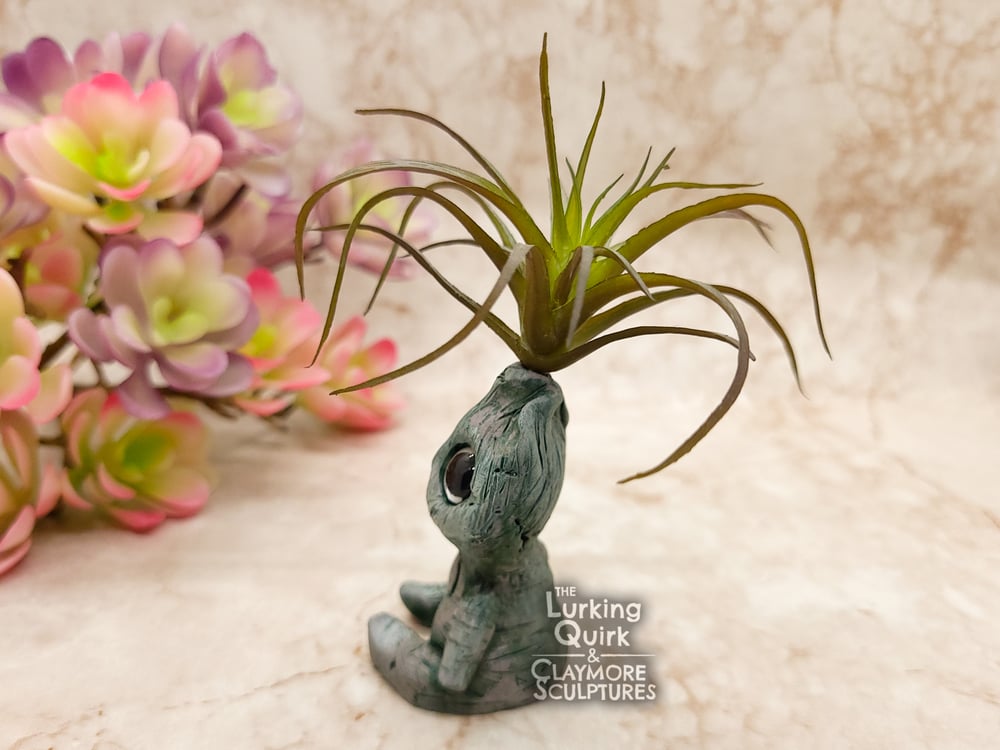 Small Plant Sprite - Dark Air Plant