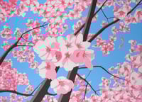 Image 1 of Cherry Blossoms by James Wolanin