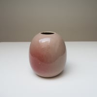 Vase rose