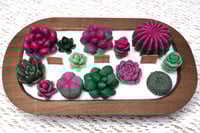 Image 3 of Cactus Suculent Candle 