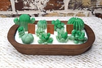 Image 2 of Cactus Suculent Candle 