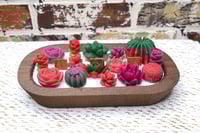 Image 1 of Cactus Suculent Candle 
