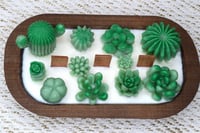 Image 4 of Cactus Suculent Candle 
