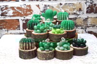 Image 1 of Cactus Candle