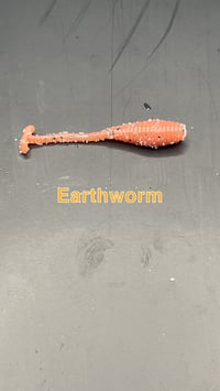 Image 5 of Mayhem Panfish Worm
