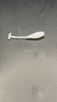 Image 8 of Mayhem Panfish Worm