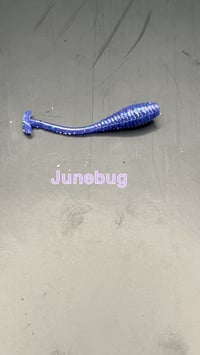Image 6 of Mayhem Panfish Worm
