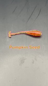 Image 12 of Mayhem Panfish Worm
