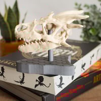 Image 3 of Dragon Skull Statue on Scale Pattern Base for Fantasy Lovers | Bookshelf Decor