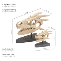 Image 4 of Dragon Skull Statue on Scale Pattern Base for Fantasy Lovers | Bookshelf Decor