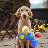 Image 2 of Resin Dog tag, Flower dog tag, Cute dog tag, Circle tag, Unique tag, Dog lover, Flowers, Resin, G...