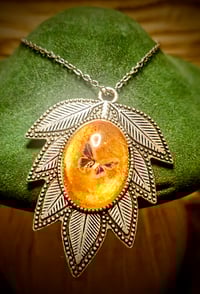 Image 1 of Amber Dreams