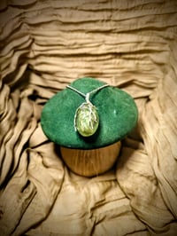 Image 1 of Enchanted Forest
