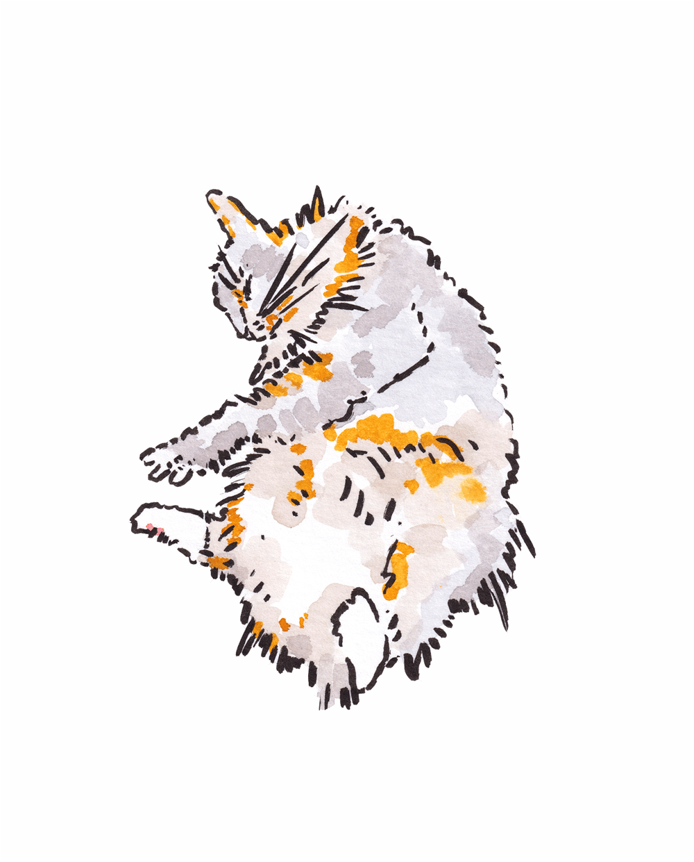 Image of Paw Stretch