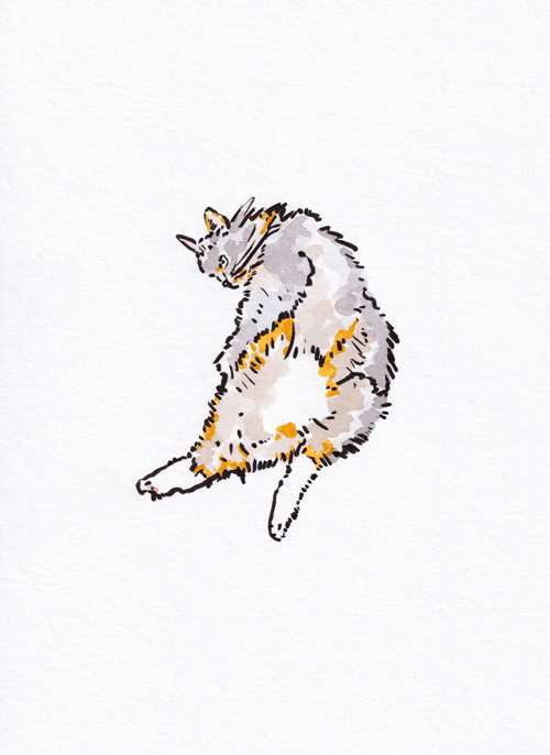 Image of Big Stretch