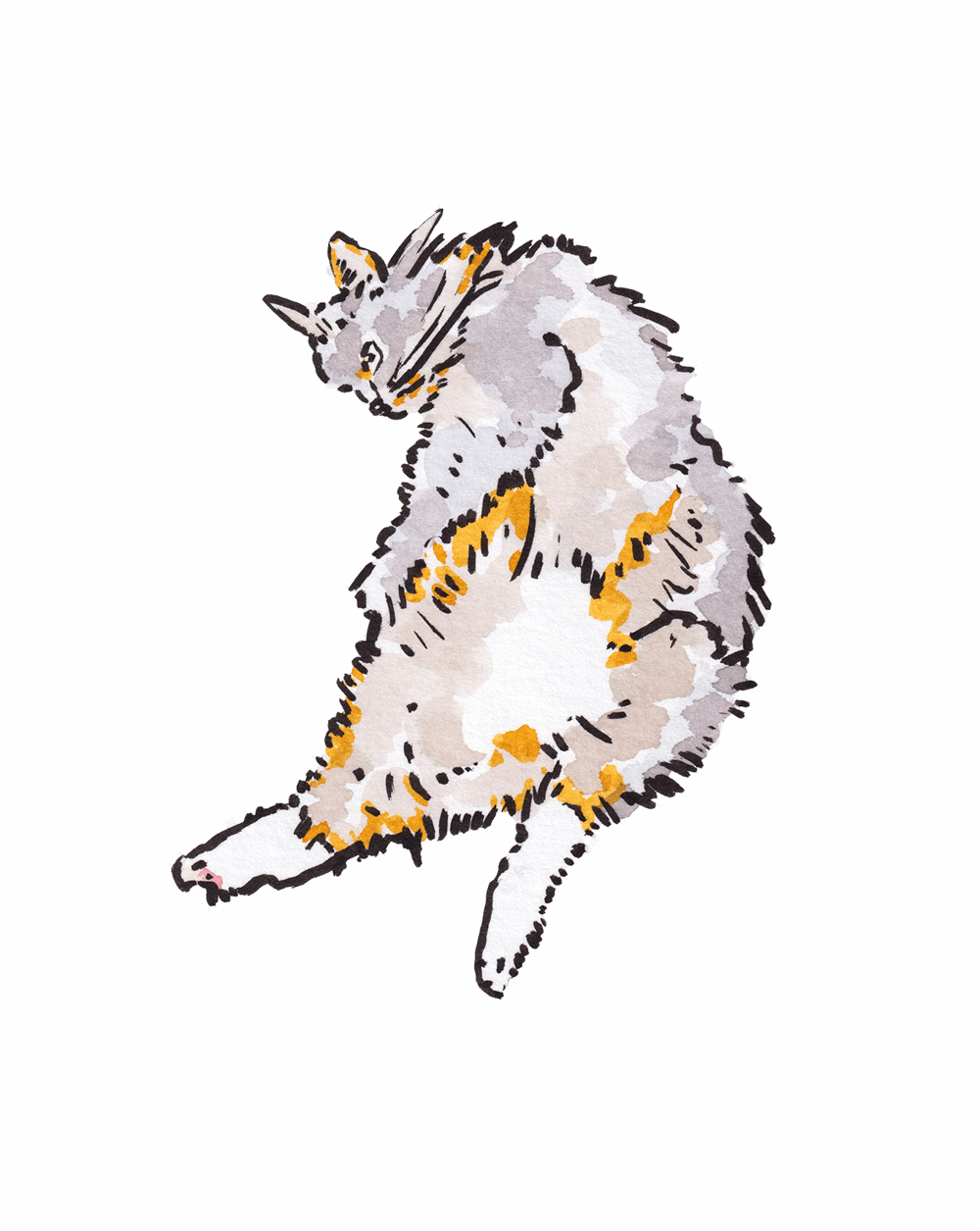 Image of Big Stretch