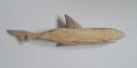 Image 3 of Terry - Driftwood Shark