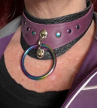 Image 2 of Locking play collar and purple and rainbows