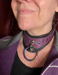 Image 3 of Locking play collar and purple and rainbows