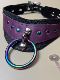 Image 4 of Locking play collar and purple and rainbows
