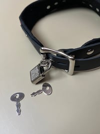 Image 5 of Locking play collar and purple and rainbows