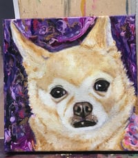 Image 1 of Pet portrait 