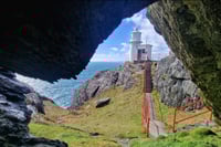 Image 4 of Iggy and Frida's World Tour of Ireland. 