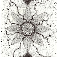 Image 2 of Seed of Creation, Eco Bamboo Fine Art Print