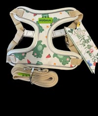 Dino Harness